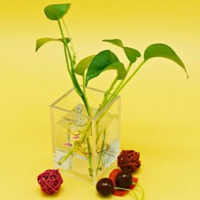 حامل ملحقات مكتب، منظم تخزين فرش المكياج 12 كوب للزينة